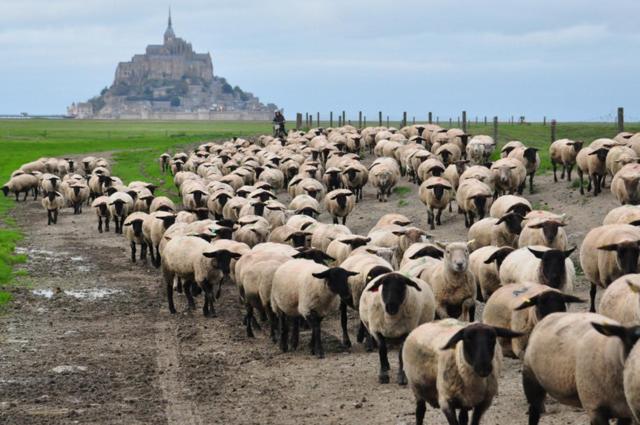 B&B La Rive - Le Mont Saint Michel Ardevon 外观 照片